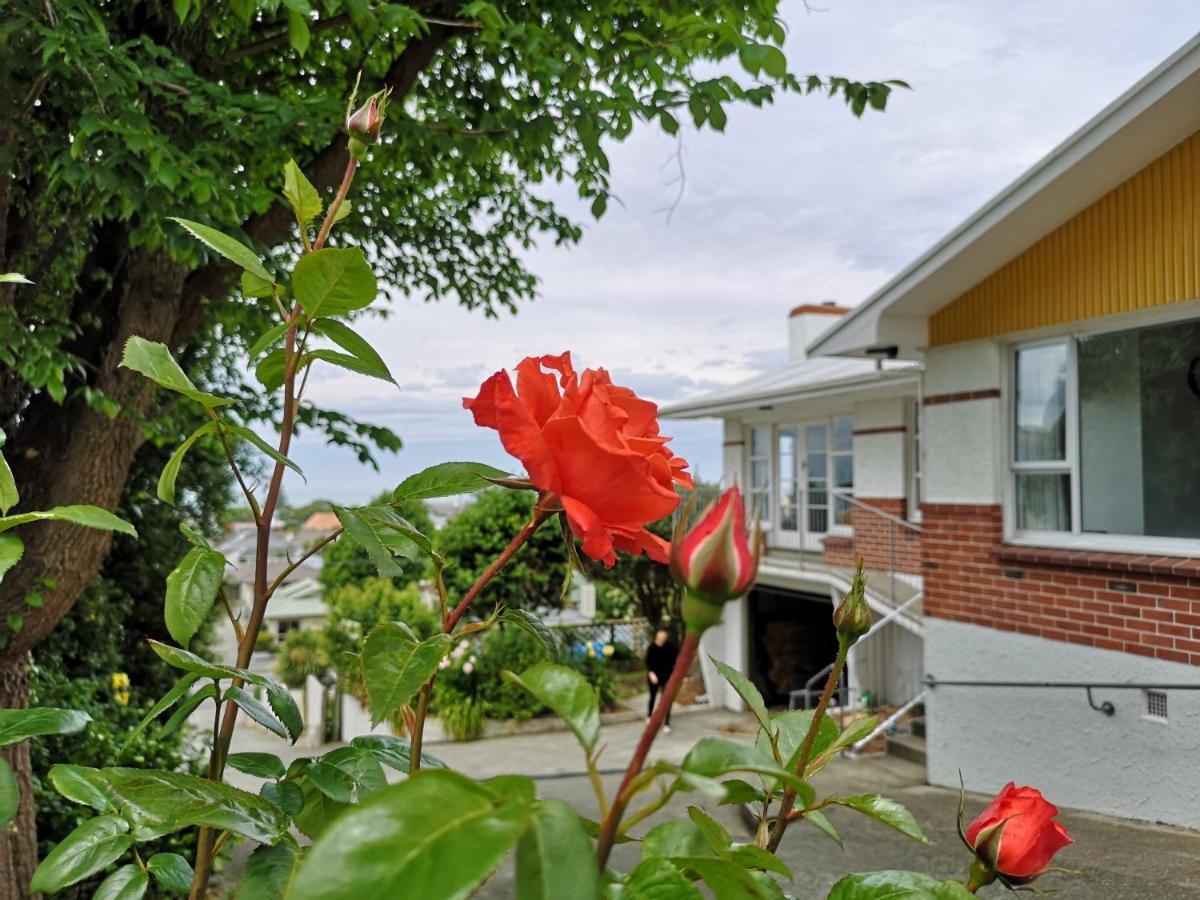 Hello Seaview! 4 Brs House In Central Location! Oamaru Exterior photo